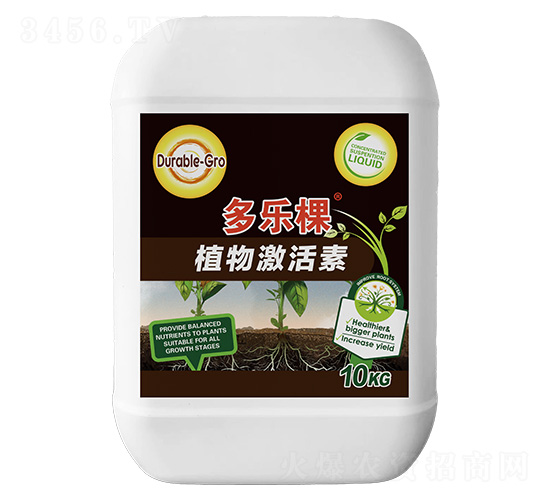 ֲ�Ｄ����-������