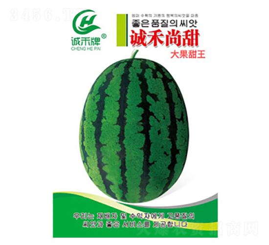 ���ϷN��-����-���S�r(n��ng)�I(y��)