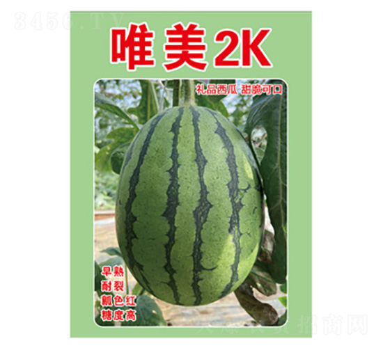 ���ϷN��-Ψ��2K-���S�r(n��ng)�I(y��)