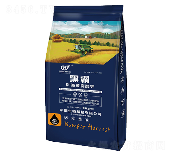 �ڰԵVԴ�S�����-�A������