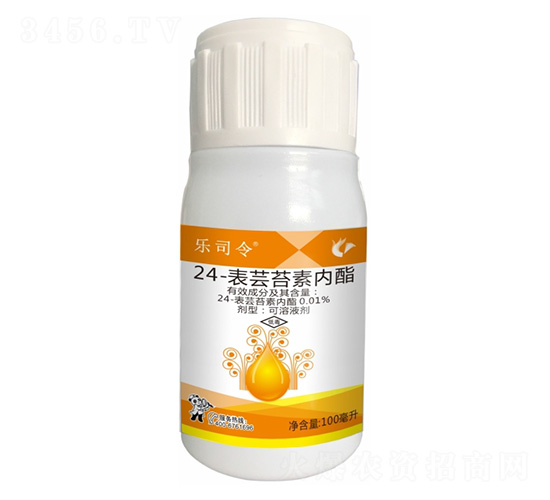 0.01%24-���|̦�؃�(n��i)��-��˾��-����¡����