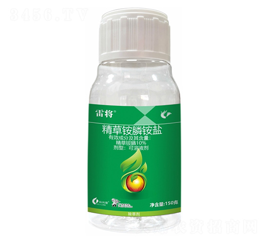 10%�����@�-�׌�-����¡����