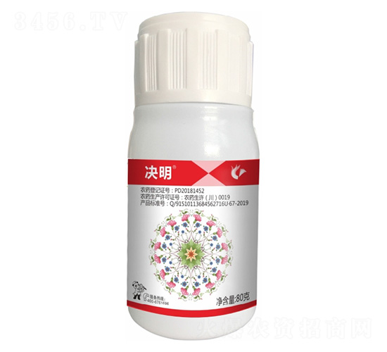 24%���x��������-�Q��-����¡����