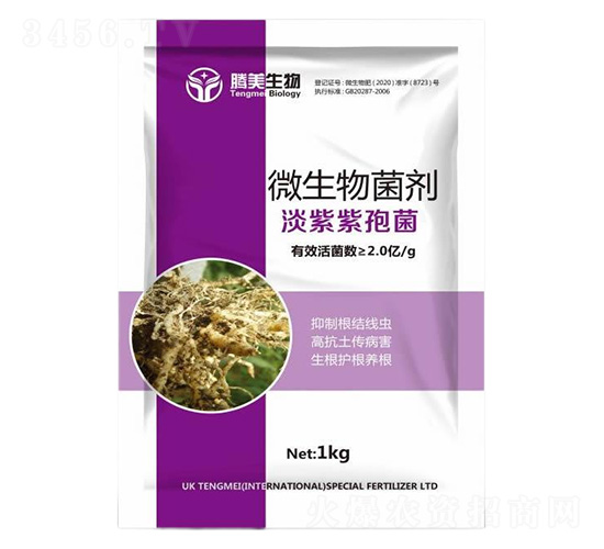 ΢�������-�������߾�-�v������