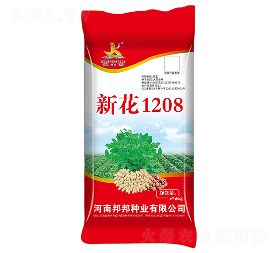 �»�1208�����N��-���S�@-���N�I(y��)