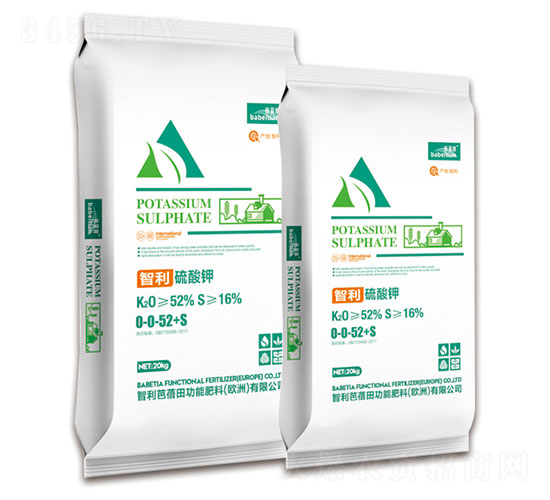 ���������-������-�vɭ�ʘI(y��)