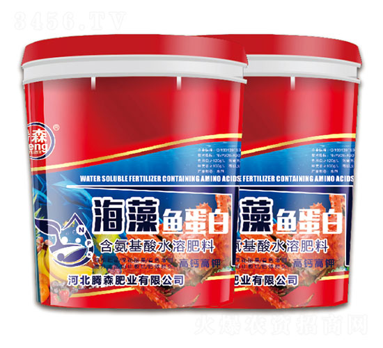 �����~����-���vɭ-�vɭ�ʘI(y��)