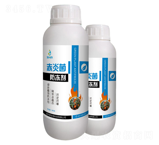 ���׾�-������-���A��