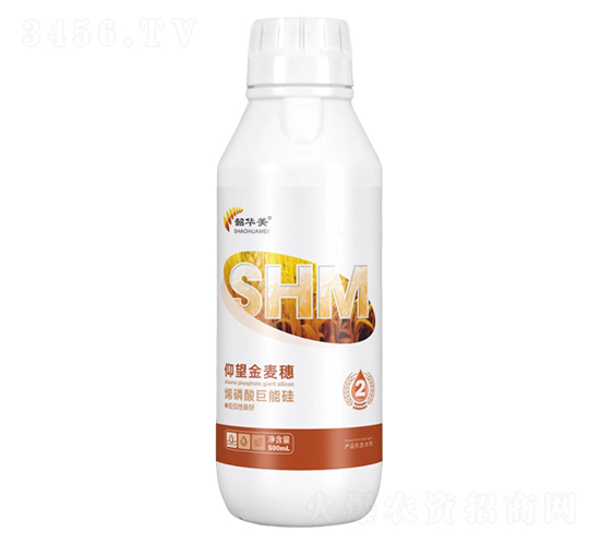 ϩ������ܹ�-����������-���A��