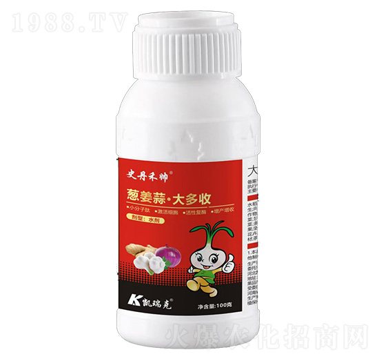 100���[���⡤�����-ʷ���̎�-�P���