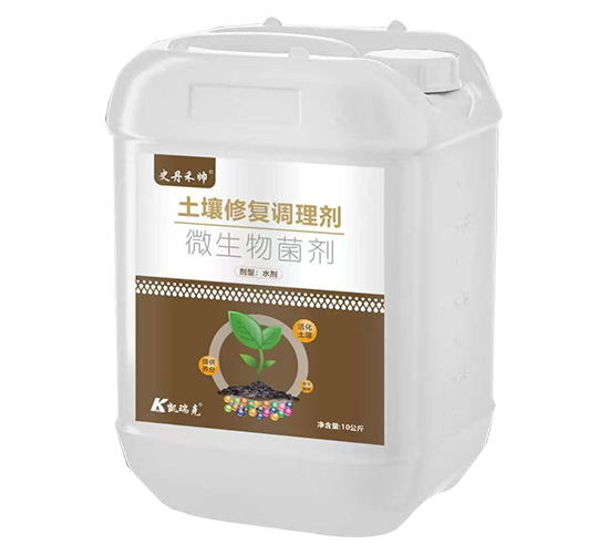 �����ޏ�(f��)�{(di��o)�턩-ʷ���̎�-�P���