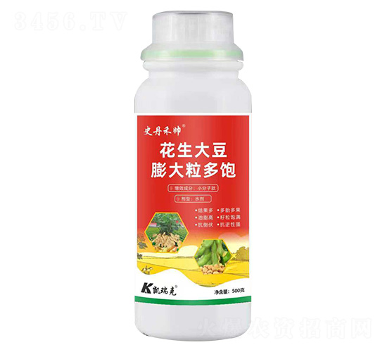 ��������������-ʷ���̎�-�P���