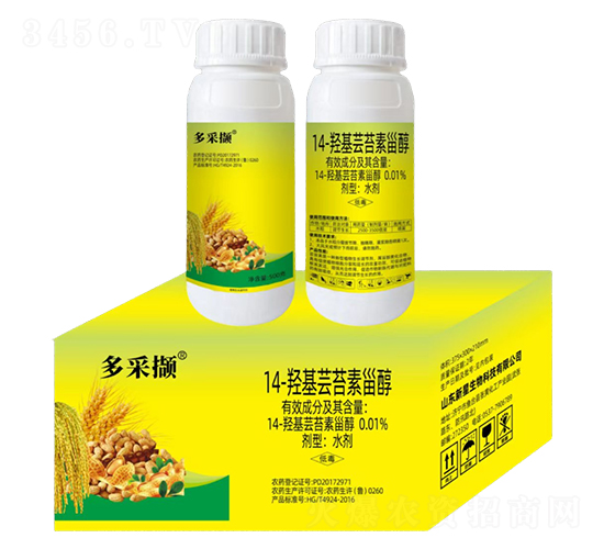 0.01%14-�u���|̦���޴�-�����r