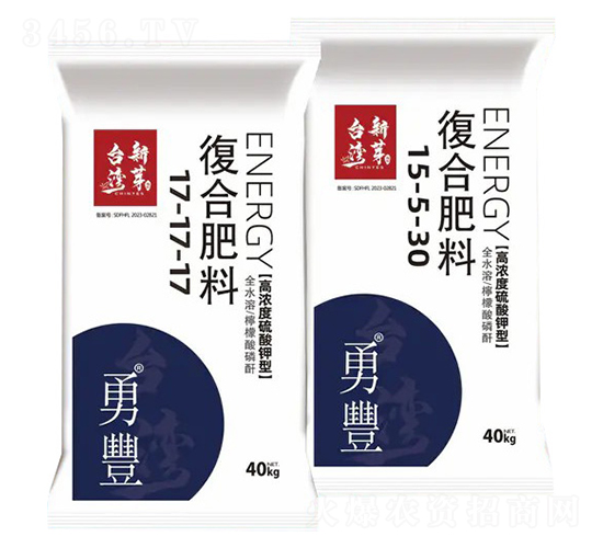 �ߝ��������͏�(f��)�Ϸ���-����