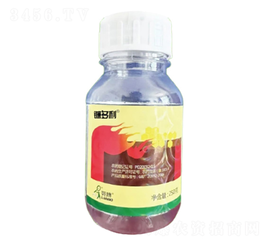 900��/���Ҳݰ�EC-砶���-һ�[�Ƽ�