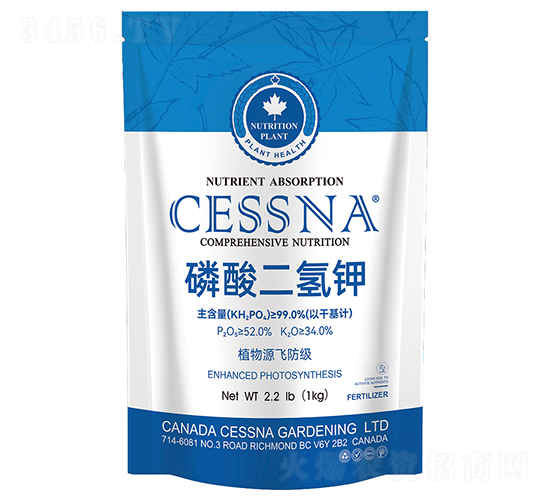 ��������-�ЅR�r�I(y��)