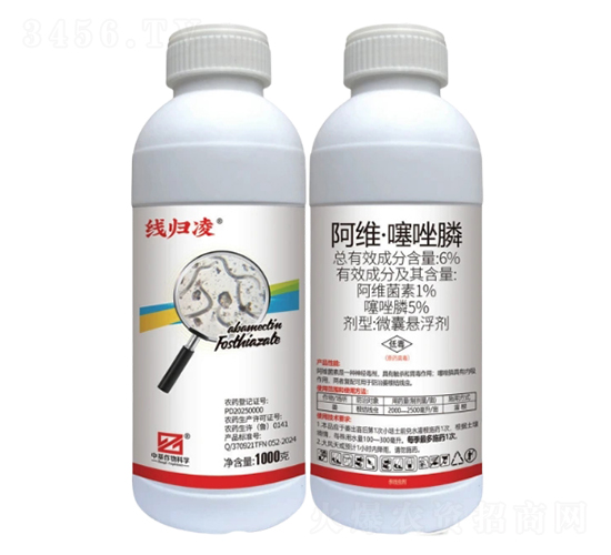 6%���S�������΢�ґҸ�����CS��-���w��-�л�����ƌW