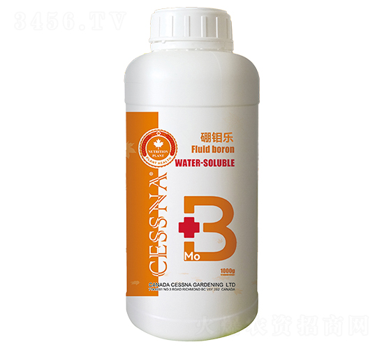 ���f��-�ЅR�r(n��ng)�I(y��)