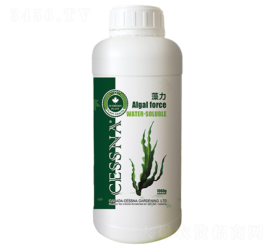 ���~���sҺ-����-�ЅR�r(n��ng)�I(y��)