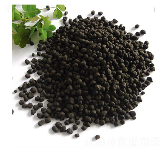 ����-ِ�Z�_