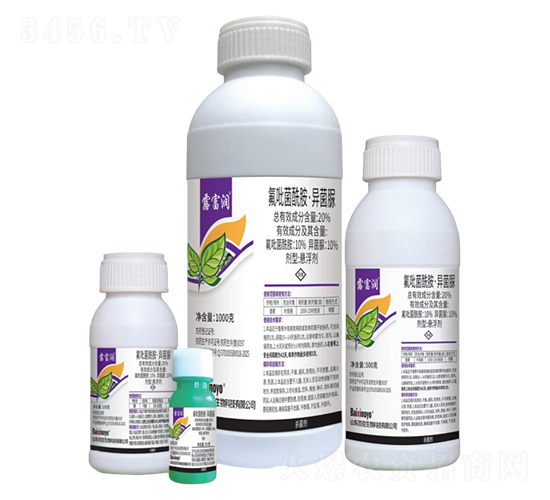 20%���ھ�������������Ҹ���-¶����-��������