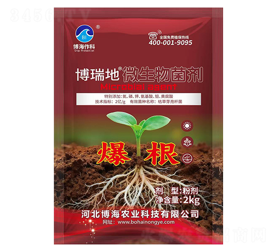 ΢�������(����)-�����-��������