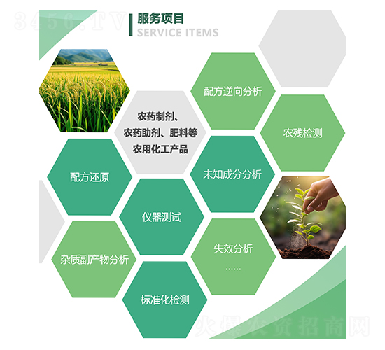 ����(w��)�Ŀ-�²���