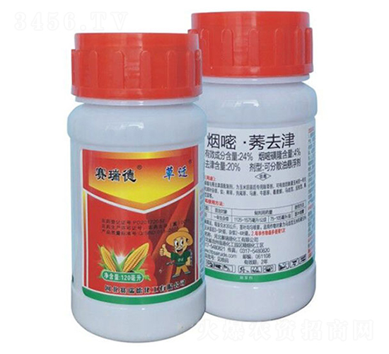 24%���ס�ݬȥ��ɷ�ɢ�͑Ҹ���-���w-ِ���