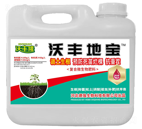 ���S�،���(f��)��΢�������-���S¡-������