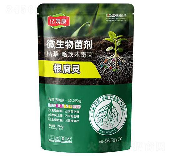 �����`΢�������-�|ķ��