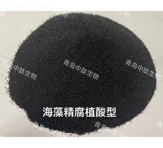 ���徫��ֲ����-���u��������