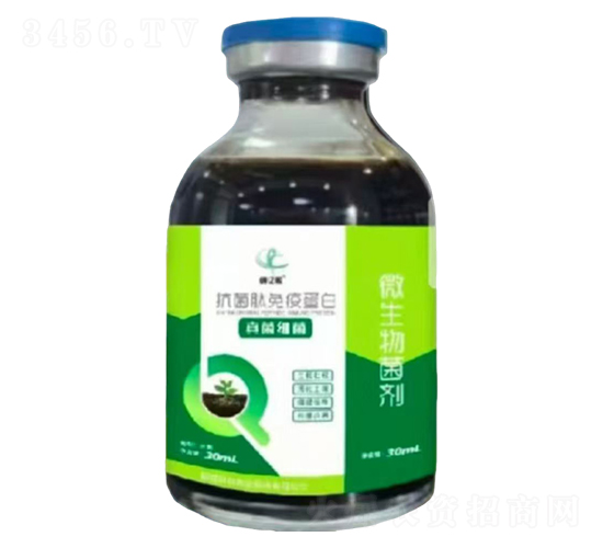 ���������ߵ���-��(chu��ng)�|�z-�Ƶ��A