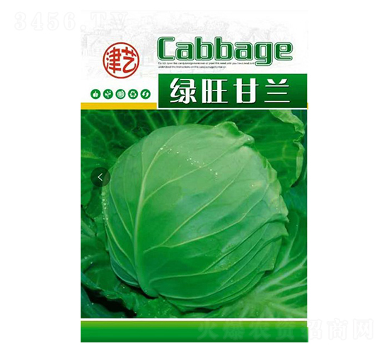 ���{�N��-�G�����{-���S�r�I(y��)