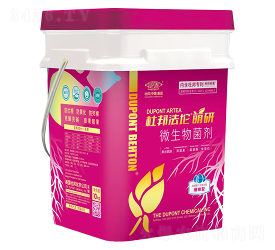 ����������΢�������-�Ű��-�Ű�