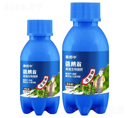 ���������Ⱥ-������-������-��������