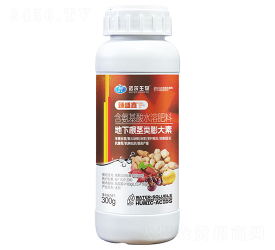 ���¸��o�(l��i)�����-��ʢ��-�Z������