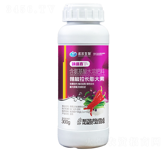 �������L�����-��ʢ��-�Z������