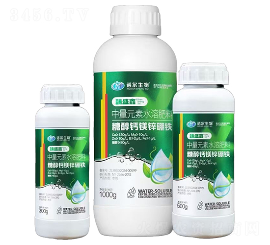 �Ǵ��}�V�\���F-��ʢ��-�Z������