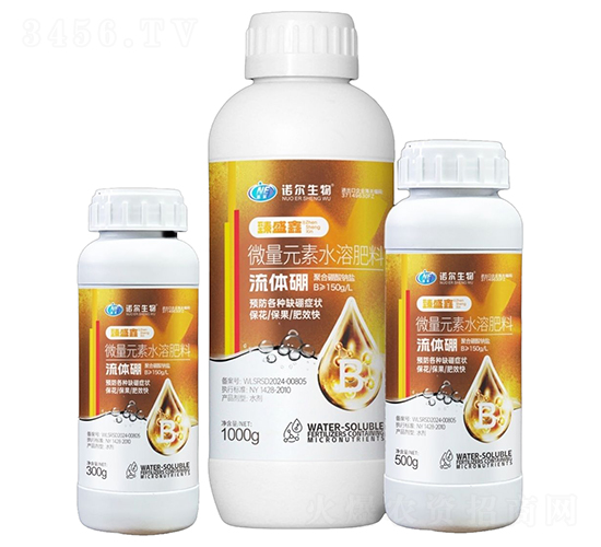 ���w��-��ʢ��-�Z������