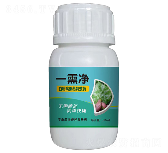 �׷�һѬ��-�Z������