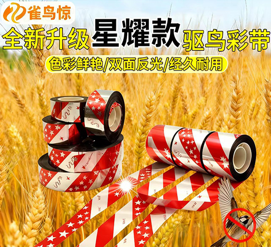 ������ζ�(q��)�B����ʎ�-ȸ�B�@-�������