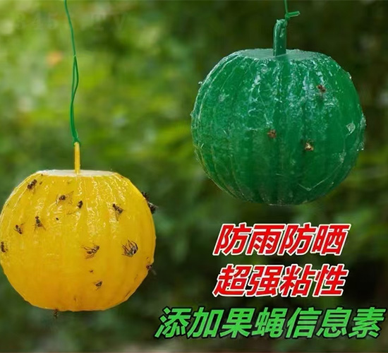 �G�T���Tω��-�(l��)������