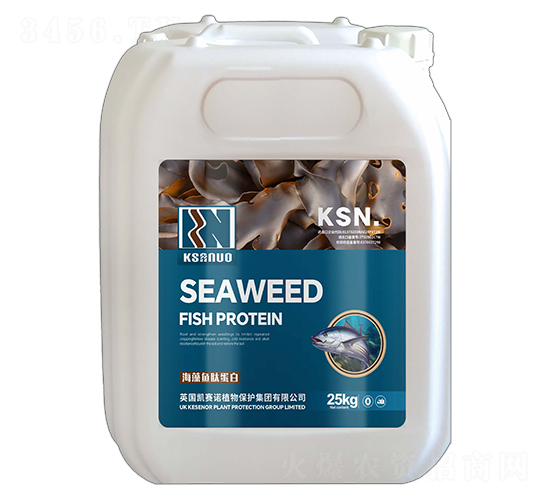 �����~�ĵ���-�Pِ�Z