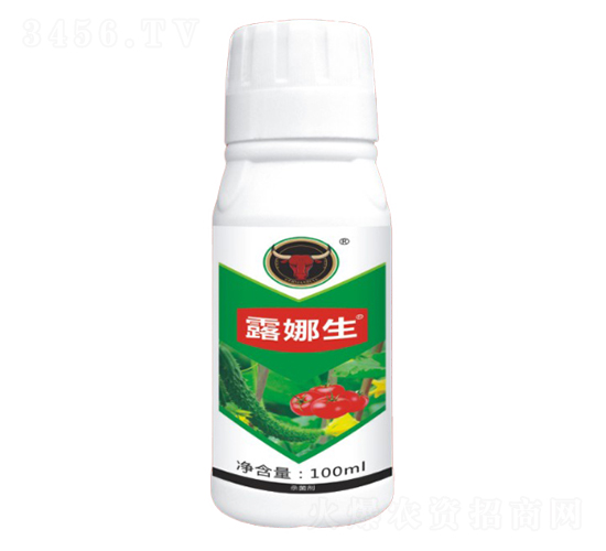 �����(x��)������-¶����-��ţ��(gu��)�H