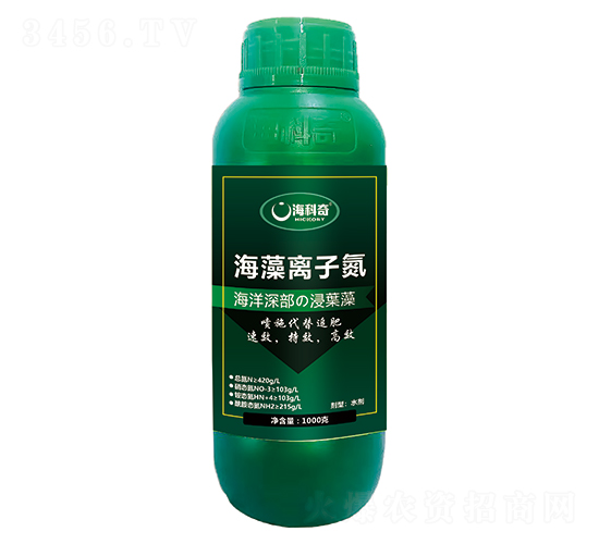 �����x�ӵ�-������