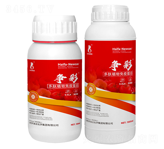 ����ֲ�����ߵ���-��(zh��ng)��-���r(n��ng)�W��