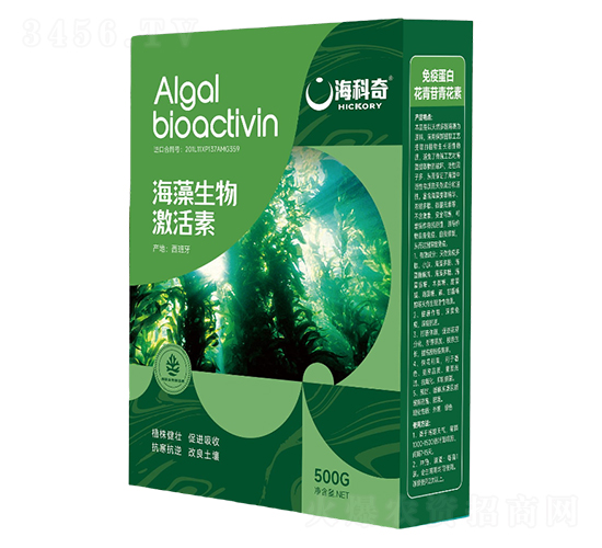 �������Ｄ����-������