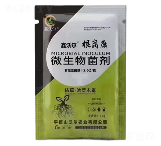 ΢�������-���֠���������-�֠��r(n��ng)�I(y��)