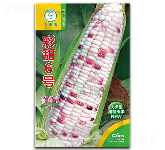 ����6̖���׷N��-�����N�I(y��)