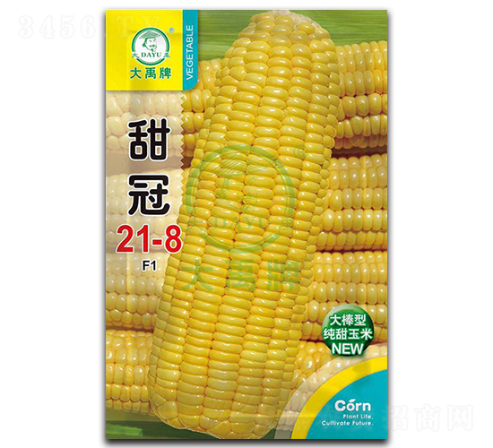 ���21-8���׷N��-�����N�I(y��)